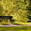 Image result for Fall Bench