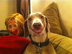 Image result for Funniest Face Swaps