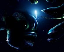 Image result for Deep Sea Monsters