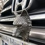 Image result for Best License Plate Names Wolf