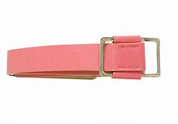 Image result for Punk Belt PNG