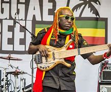 Image result for Reggae