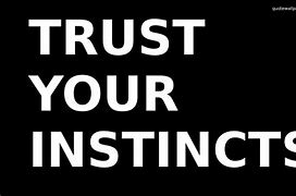 Image result for Risk Trust Your Instincts