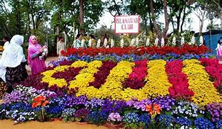 Image result for Allah Flowers