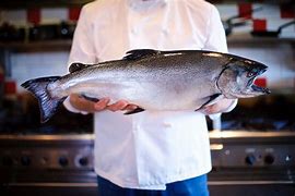 Image result for Fresh Chinook Salmon