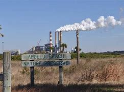 Image result for Apollo Beach Nature Preserve