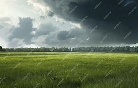 Image result for Grassland Environment