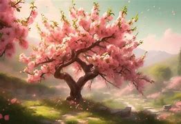 Image result for How to Identify a Peach Tree