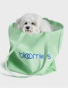 Image result for Bloomies Old Orchard