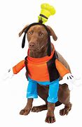 Image result for Goofy Dog Toy