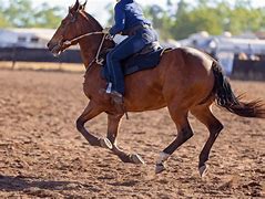 Image result for High-Waisted Horse Riding Jeans