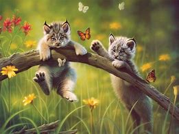 Image result for Cat and Butterfly Wallpaper