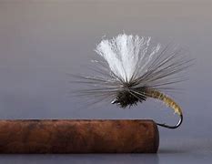 Image result for Fly Fishing Tying