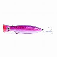 Image result for Popper Lure