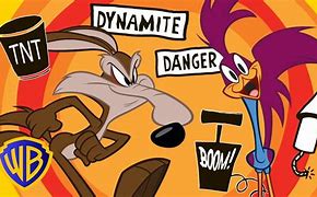 Image result for Looney Tunes Wile E Cyote