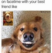 Image result for You Are My Best Friend Meme