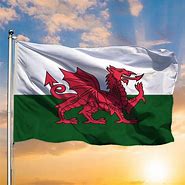 Image result for Wales Flag without Dragon