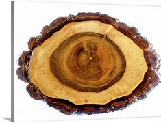 Image result for Tree Tank Wall