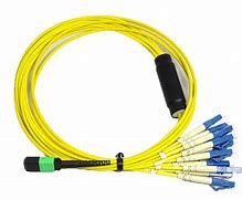 Image result for 12 Strand Fiber Cable