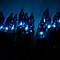 Image result for Blue Mini Bulb LED Lights