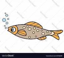 Image result for Long Cute Fish