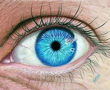 Image result for Human Eye Art