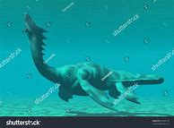 Image result for Sea Dragon Mythology