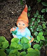 Image result for Female Garden Gnome