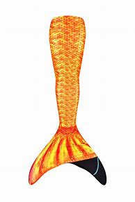 Image result for Mermaid Orange Tail