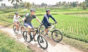 Image result for Cycling Ubud Bali