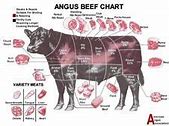 Image result for Steak Anatomy