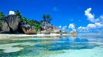 Image result for Tropical Beach BG