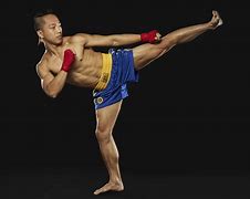 Image result for Muay Thai