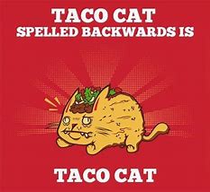 Image result for Taco Cat Pool