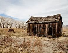 Image result for Old Barn Stalls