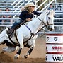 Image result for Barrel Racer Senior Pics