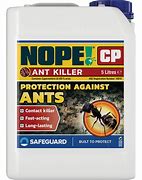 Image result for Ant Killer Spray Concentrate