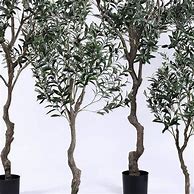 Image result for Artificial Olive Tree