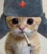 Image result for Ushanka with Cat Ears