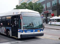 Image result for MTA Bus Service