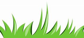 Image result for Baby Grass Clip Art