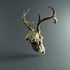 Image result for Deer Skull Monster