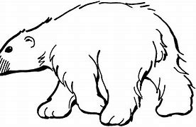 Image result for Polar Bear Clip Art Black and White