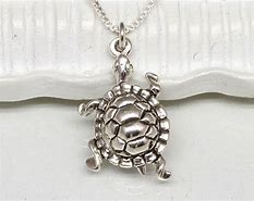 Image result for Turtle Necklace Sterling Silver