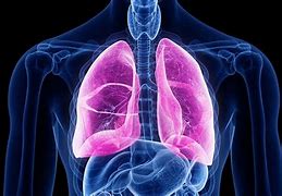 Image result for Chronic Lung Disease Logo