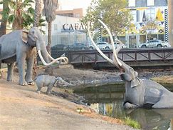 Image result for La Brea Tar Pits Looking Northern