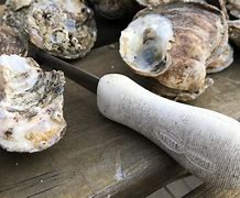 Image result for Beech Mountain Oyster Roast