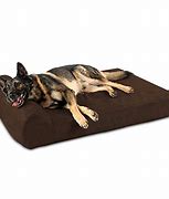 Image result for Tough Dog Beds