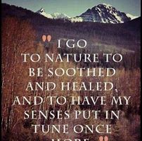 Image result for Natural Healing Quotes