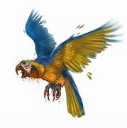 Image result for Dnd Birds